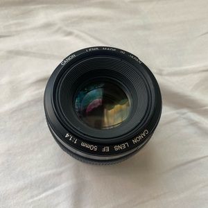 Canon lense (great for portrait)